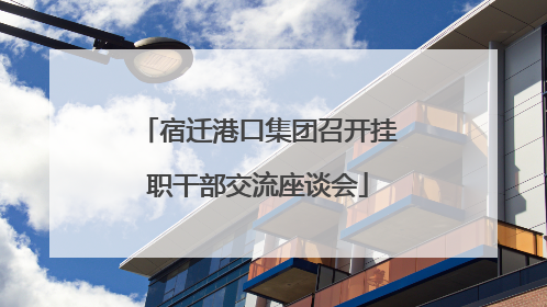 宿迁港口集团召开挂职干部交流座谈会