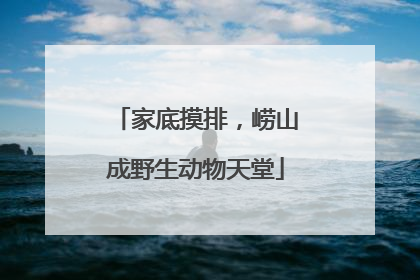 家底摸排，崂山成野生动物天堂