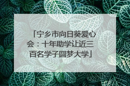 宁乡市向日葵爱心会：十年助学让近三百名学子圆梦大学