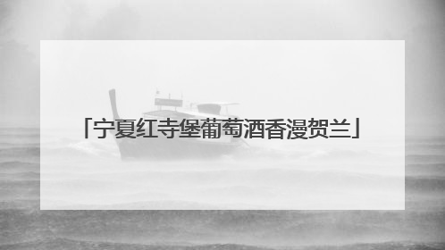 宁夏红寺堡葡萄酒香漫贺兰
