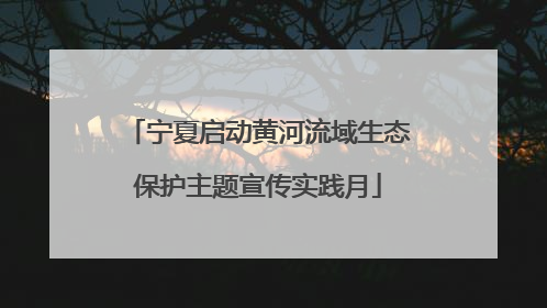 宁夏启动黄河流域生态保护主题宣传实践月