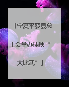 宁夏平罗县总工会举办插秧“大比武”