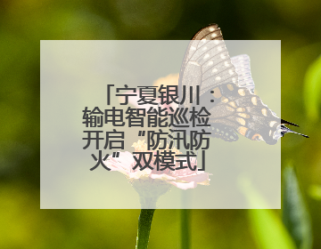 宁夏银川：输电智能巡检开启“防汛防火”双模式