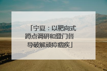 宁夏：以靶向式蹲点调研和登门督导破解顽瘴痼疾