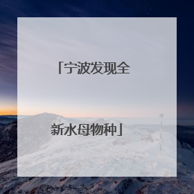 宁波发现全新水母物种