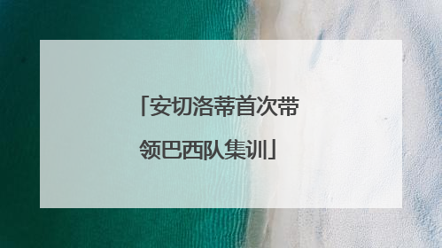 安切洛蒂首次带领巴西队集训
