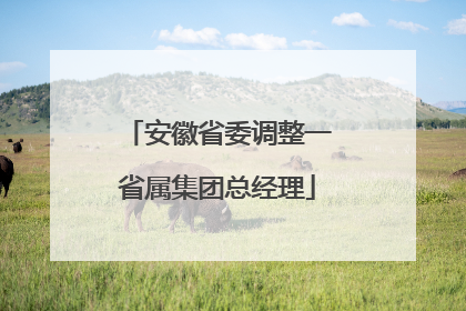 安徽省委调整一省属集团总经理