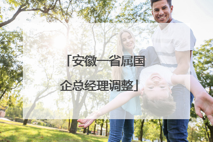 安徽一省属国企总经理调整