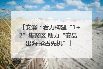 安溪：着力构建“1+2”集聚区 助力“安品出海·抢占先机”
