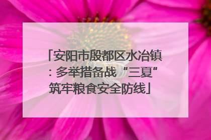 安阳市殷都区水冶镇：多举措备战“三夏” 筑牢粮食安全防线