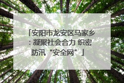 安阳市龙安区马家乡：凝聚社会合力 织密防汛“安全网”