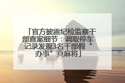 官方披露纪检监察干部查案细节：调取停车记录发现3名干部假“办事”真麻将