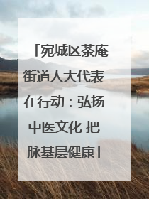 宛城区茶庵街道人大代表在行动：弘扬中医文化 把脉基层健康