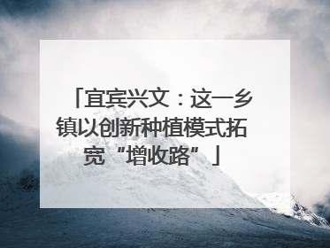 宜宾兴文：这一乡镇以创新种植模式拓宽“增收路”