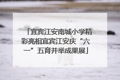 宜宾江安南城小学精彩亮相宜宾江安庆“六一”五育并举成果展