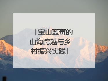 宝山蓝莓的山海跨越与乡村振兴实践