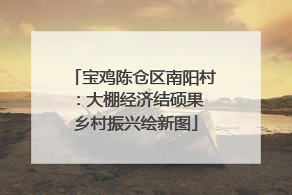 宝鸡陈仓区南阳村：大棚经济结硕果 乡村振兴绘新图