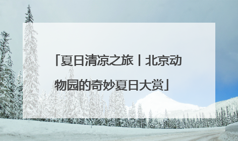 夏日清凉之旅丨北京动物园的奇妙夏日大赏
