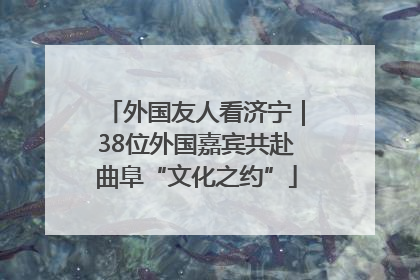 外国友人看济宁｜38位外国嘉宾共赴曲阜“文化之约”