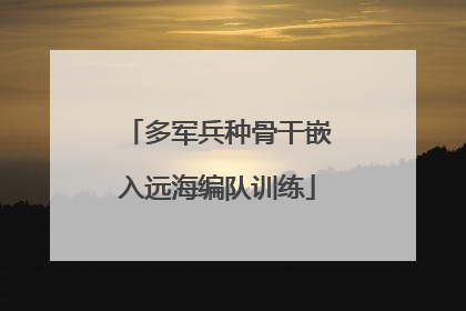 多军兵种骨干嵌入远海编队训练