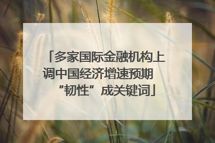 多家国际金融机构上调中国经济增速预期 “韧性”成关键词