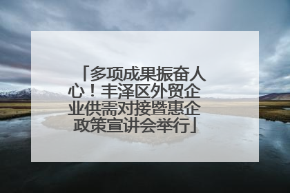 多项成果振奋人心！丰泽区外贸企业供需对接暨惠企政策宣讲会举行