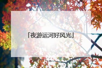 夜游运河好风光