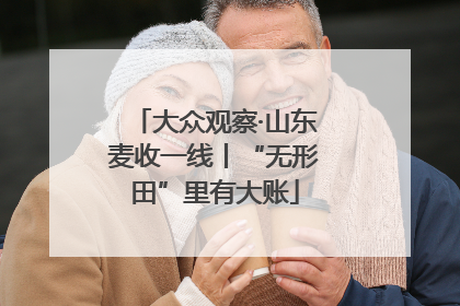 大众观察·山东麦收一线丨“无形田”里有大账