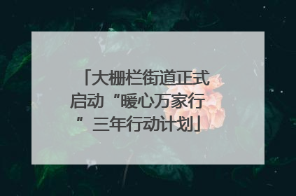 大栅栏街道正式启动“暖心万家行”三年行动计划