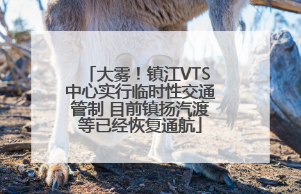大雾！镇江VTS中心实行临时性交通管制 目前镇扬汽渡等已经恢复通航