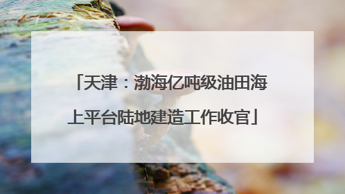 天津：渤海亿吨级油田海上平台陆地建造工作收官
