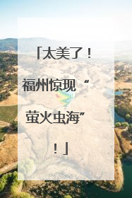太美了！福州惊现“萤火虫海”！