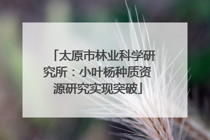 太原市林业科学研究所：小叶杨种质资源研究实现突破