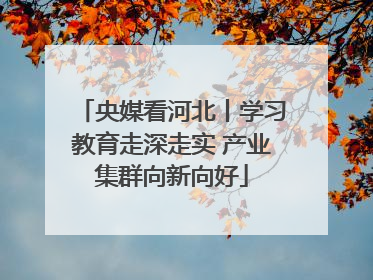 央媒看河北丨学习教育走深走实 产业集群向新向好