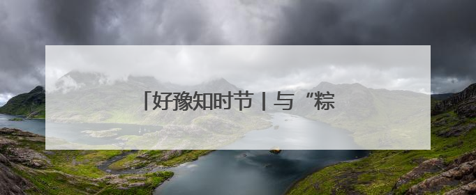 好豫知时节丨与“粽”不“童”的端午