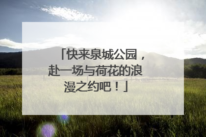 快来泉城公园，赴一场与荷花的浪漫之约吧！