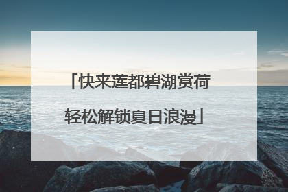 快来莲都碧湖赏荷 轻松解锁夏日浪漫
