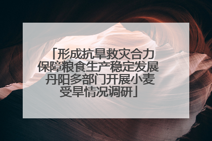 形成抗旱救灾合力 保障粮食生产稳定发展 丹阳多部门开展小麦受旱情况调研