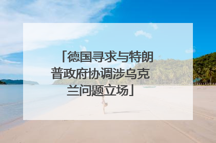 德国寻求与特朗普政府协调涉乌克兰问题立场