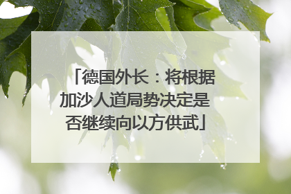 德国外长：将根据加沙人道局势决定是否继续向以方供武