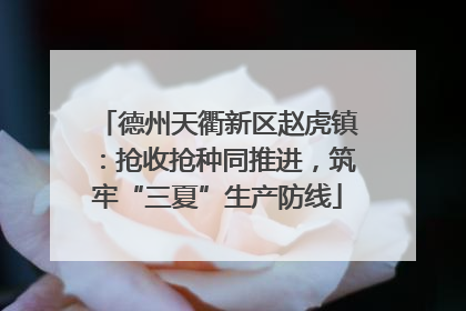 德州天衢新区赵虎镇：抢收抢种同推进，筑牢“三夏”生产防线