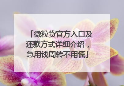微粒贷官方入口及还款方式详细介绍，急用钱周转不用慌