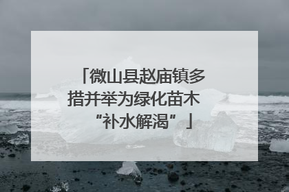 微山县赵庙镇多措并举为绿化苗木“补水解渴”