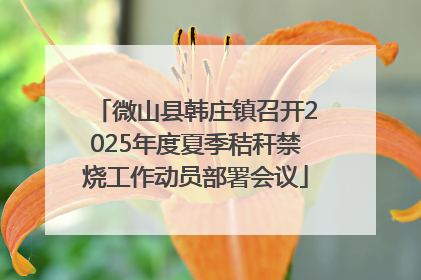 微山县韩庄镇召开2025年度夏季秸秆禁烧工作动员部署会议