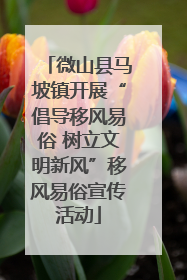 微山县马坡镇开展“倡导移风易俗 树立文明新风”移风易俗宣传活动