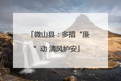 微山县：多措“廉”动 清风护安
