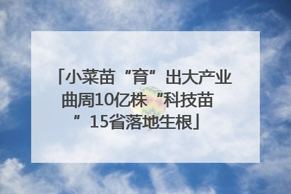 小菜苗“育”出大产业 曲周10亿株“科技苗”15省落地生根