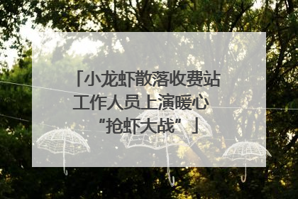 小龙虾散落收费站 工作人员上演暖心“抢虾大战”