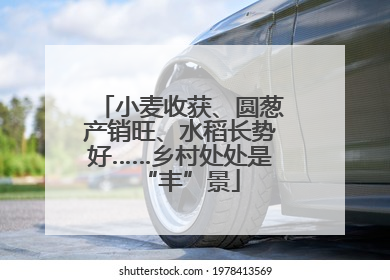 小麦收获、圆葱产销旺、水稻长势好……乡村处处是“丰”景