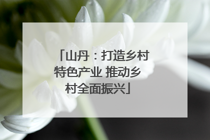 山丹：打造乡村特色产业 推动乡村全面振兴